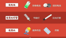 垃圾分类视频,视频解析与实操技巧